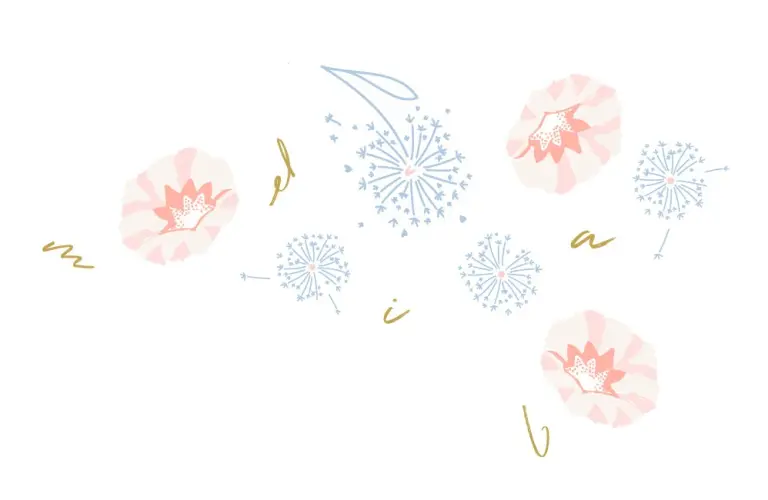 Illustration, dessin montrant des ipomée avec des lettres