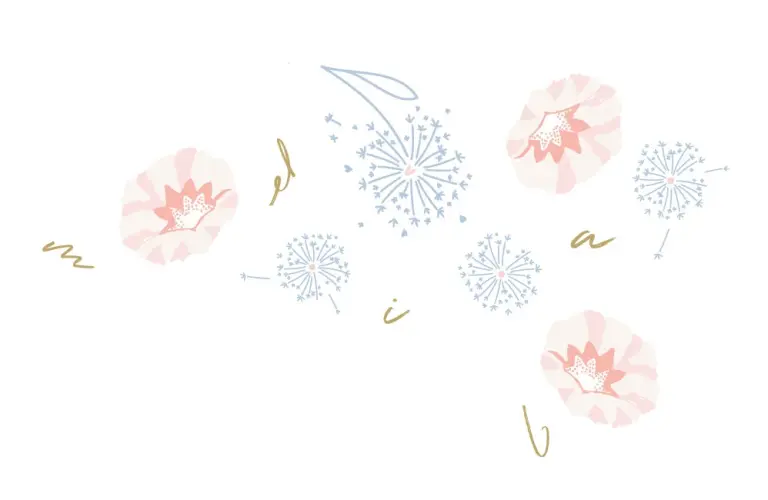 Illustration, dessin montrant des ipomée, des fleurs avec des lettres